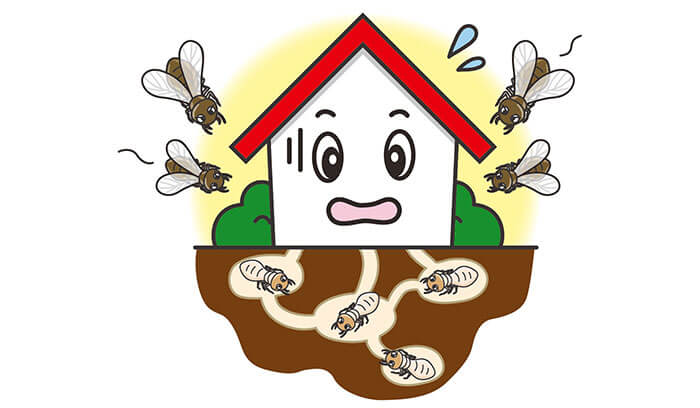 なぜ春にシロアリが増えるのか