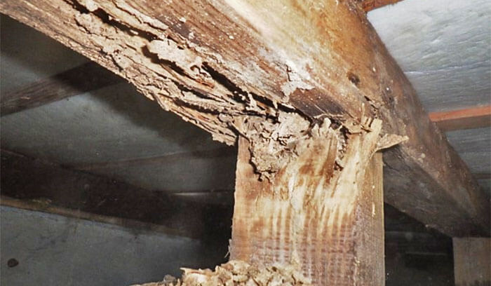 ③床がフワフワ・沈む感じがする