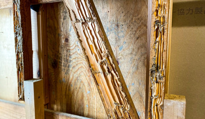 ④木部をたたくと空洞音がする