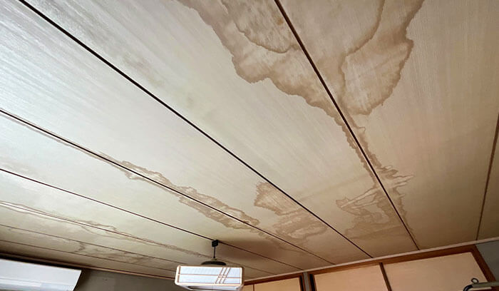 過去に雨漏りや水漏れがあった