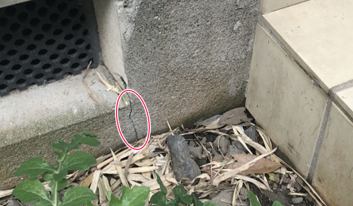 外壁や基礎にひび割れがある