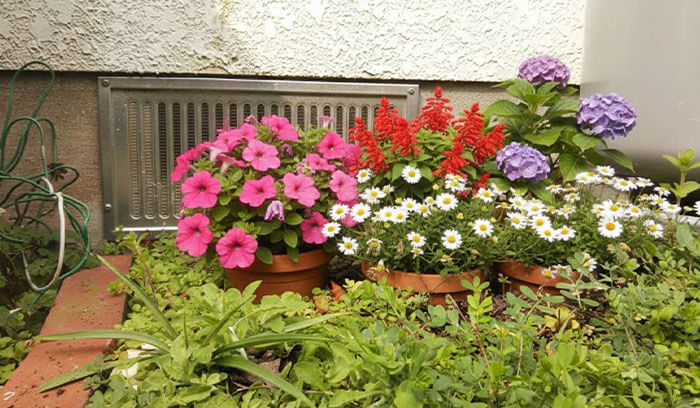 花壇や鉢植えが多い