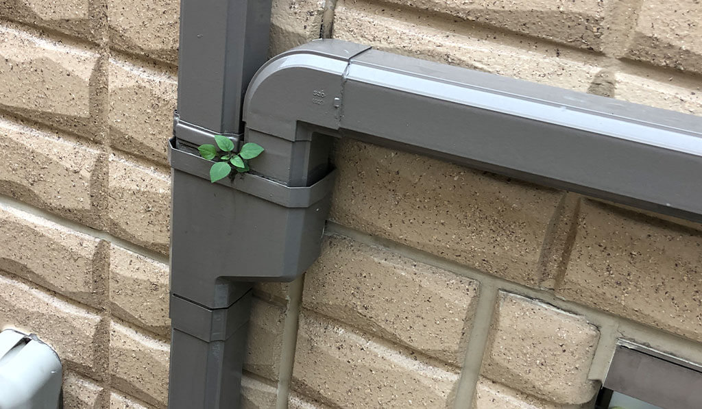 雨どい部分交換工事ビフォー