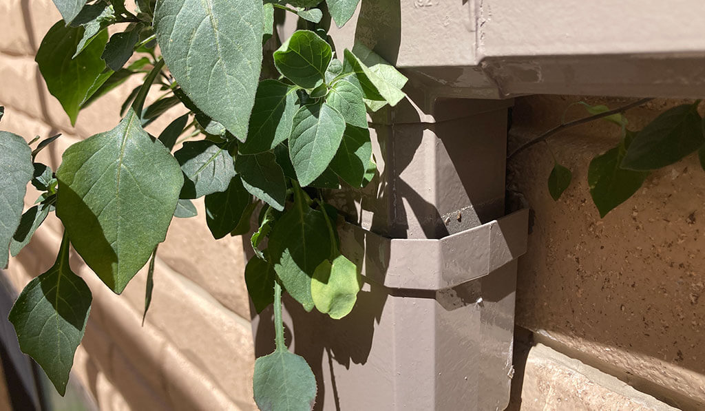 工事前の雨どい