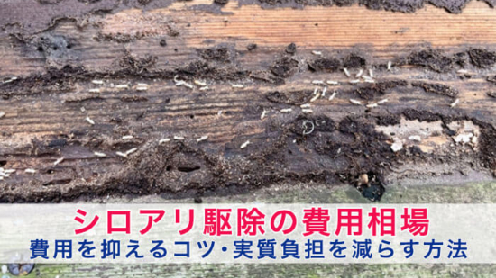 Thumbnail of post image 047