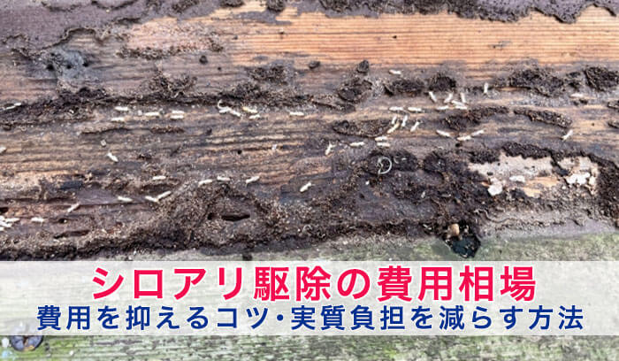 シロアリ駆除の費用相場｜20坪15万円は高い？追加料金・見積もりの注意点