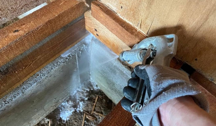 シロアリ駆除の費用はいくら？相場の目安