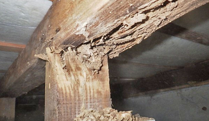 被害箇所の補修が必要な場合