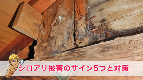 Thumbnail of post image 012