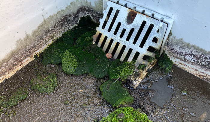 排水溝の詰まり