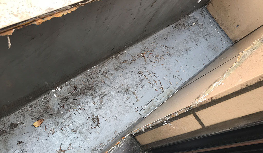 ベランダ防水工事ビフォー
