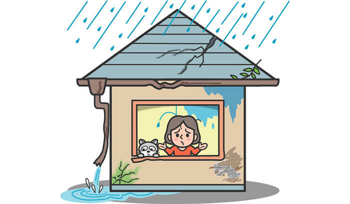 雨漏り調査の依頼先に迷った場合の判断基準