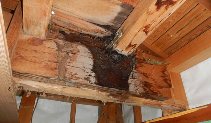 雨漏りが発生し柱や梁が腐食している様子