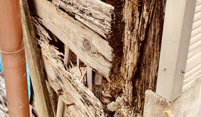 外壁を剥がすと壁内部の木材がボロボロに腐食してしまっている