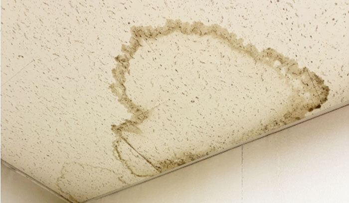 雨漏りが起きて天井に大きなシミができている