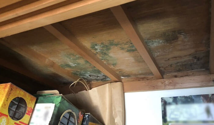 押し入れの天井が雨漏りでカビている