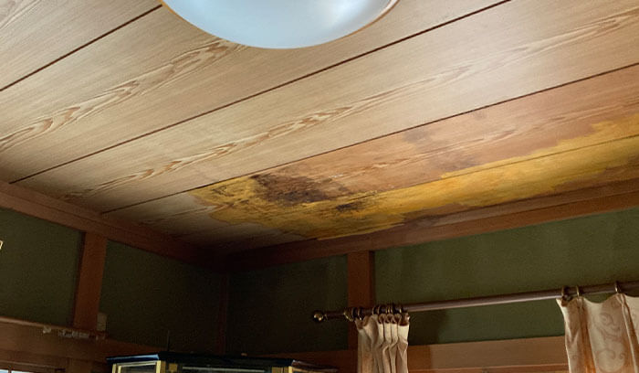 天井に大きな雨染みが発生