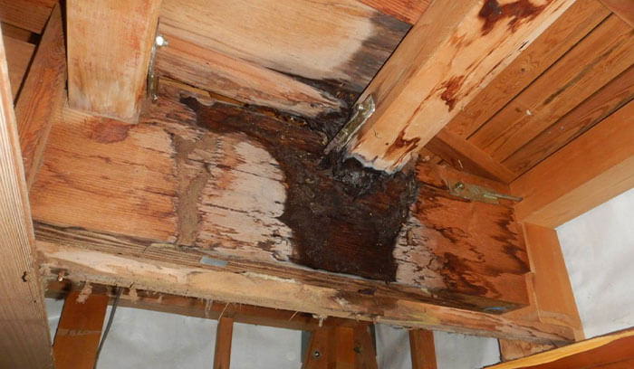修理を先延ばしにして、屋根の内部が腐食してしまった様子