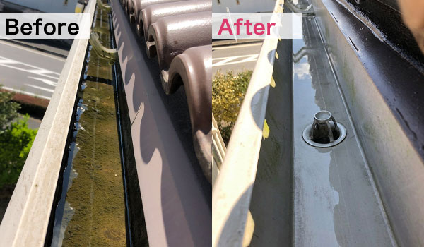 Thumbnail of new posts 109