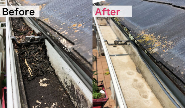 Thumbnail of new posts 101