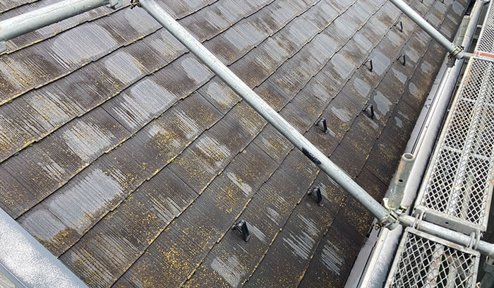 スレート屋根の表面にコケが付着している様子