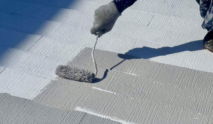 屋根を塗装している様子