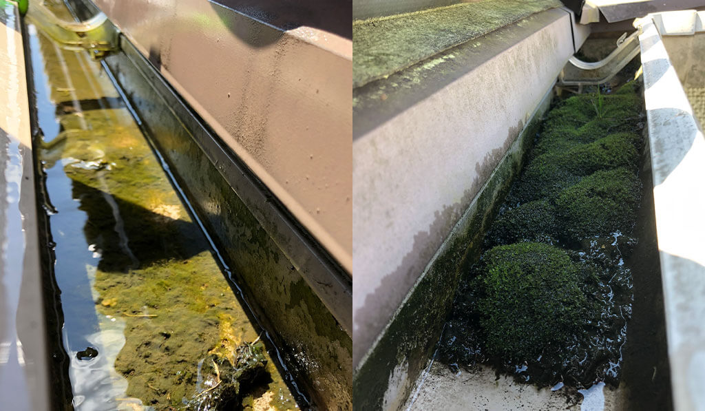 清掃前の汚れた雨どいの様子