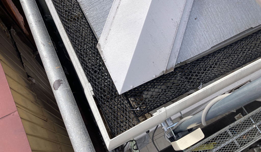 雨どい清掃・ネット設置のアフター写真②