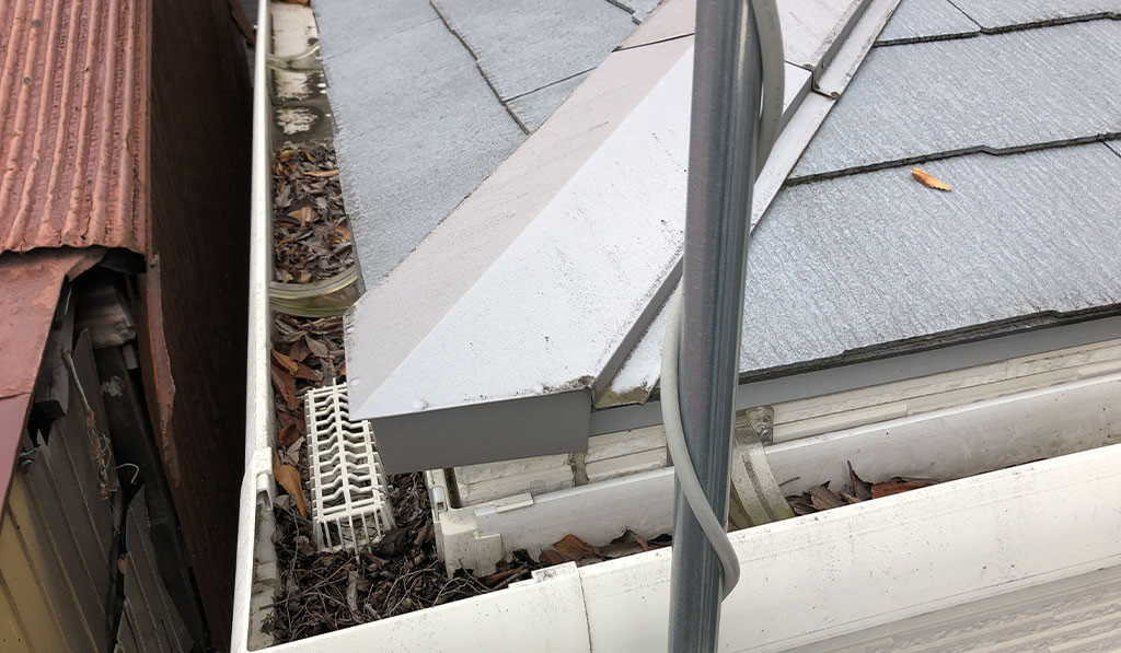 雨どいに大量の落ち葉が溜まっている様子