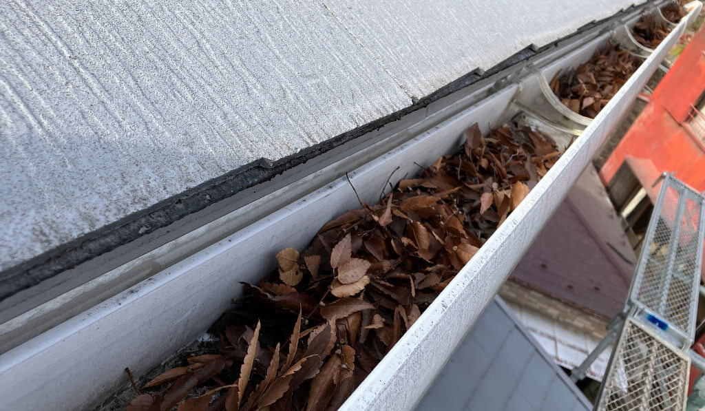工事前の雨どいに落ち葉が溜まっている様子