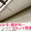 Thumbnail of new posts 066