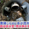 Thumbnail of new posts 154