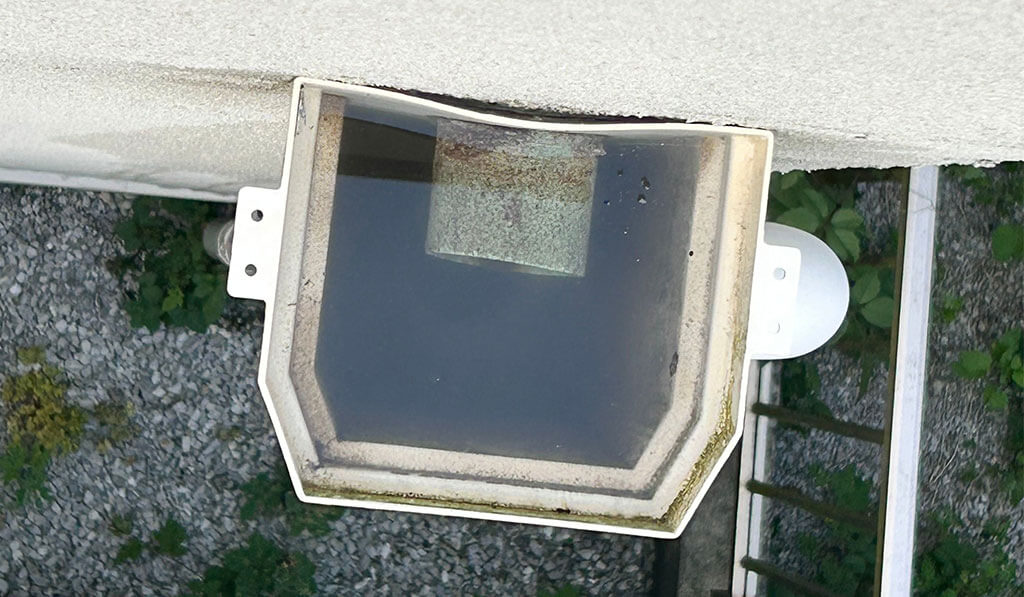 雨どいに水が溜まっている様子