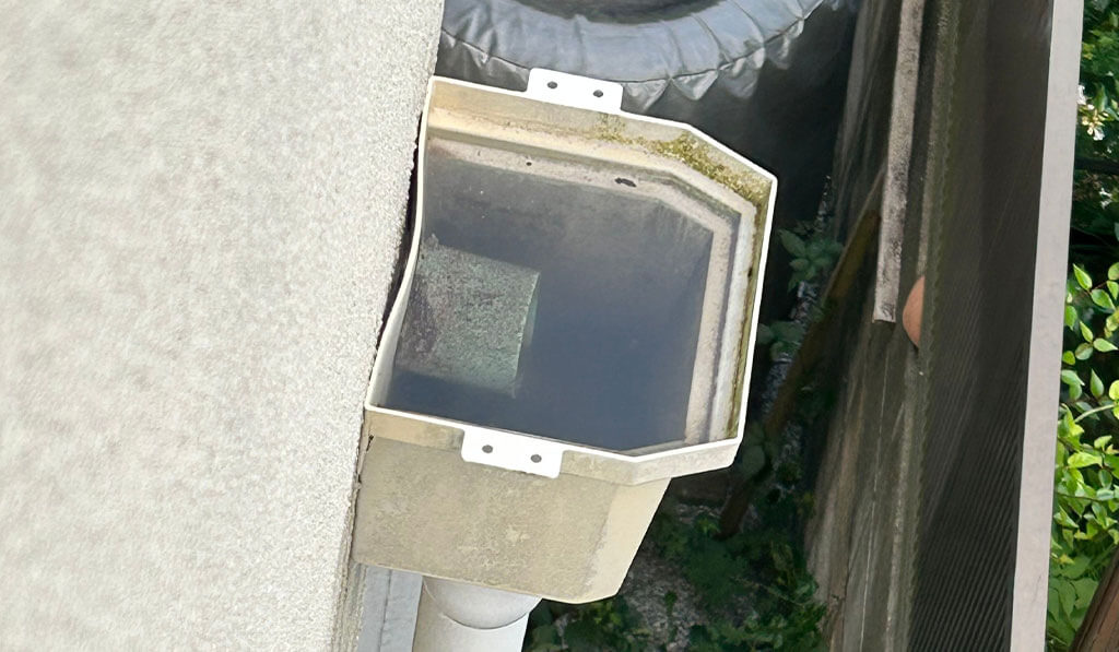 集水桝に水が溢れている