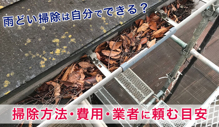 雨どいに落ち葉が詰まっている