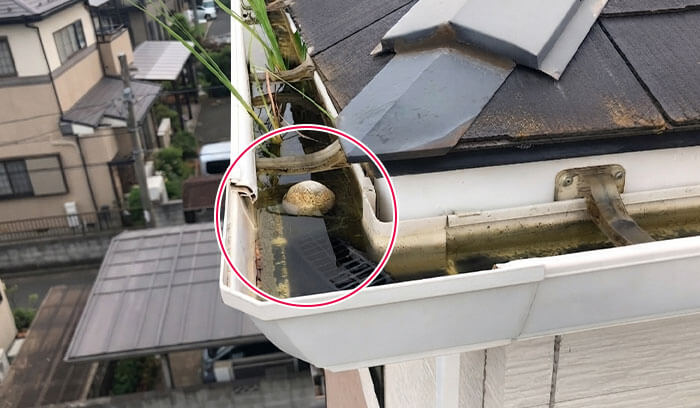 雨どいにボールが入ってしまっている