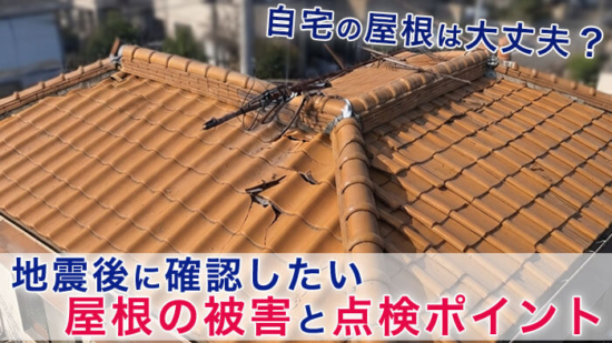 Thumbnail of post image 005